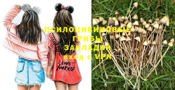 mix Нея