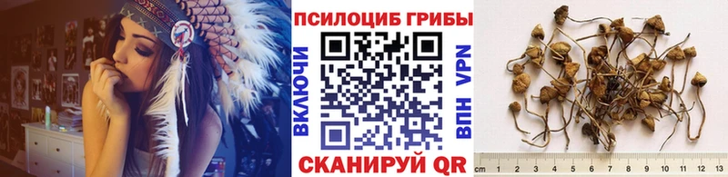 Псилоцибиновые грибы ЛСД  Сосногорск 
